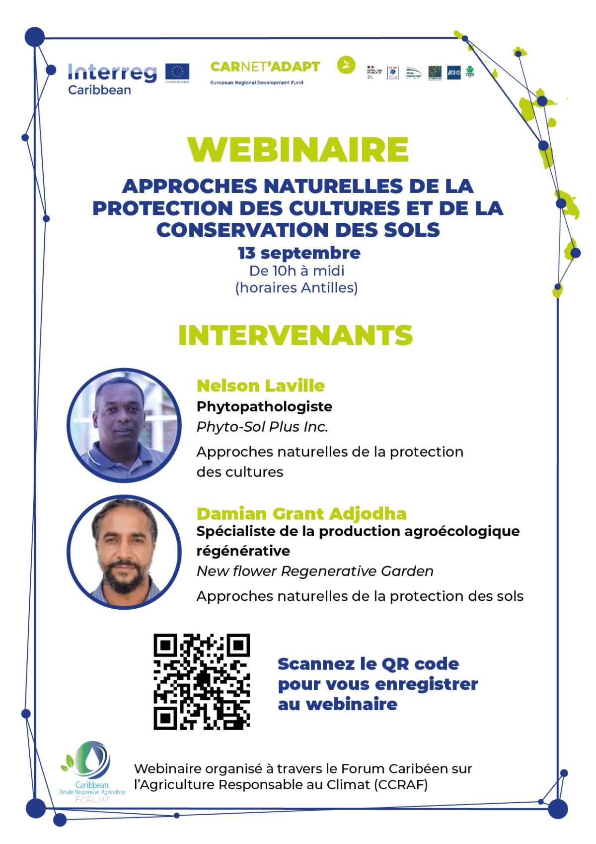 flyer invitation Webinaire 1.jpg