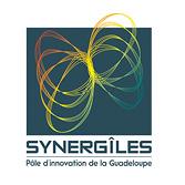 Logo Synergiles