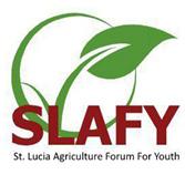 logo Slafy