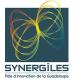 Logo Synergiles